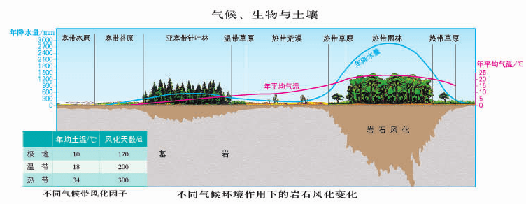 土壤教学经典用图30张!_成土_示意图_剖面