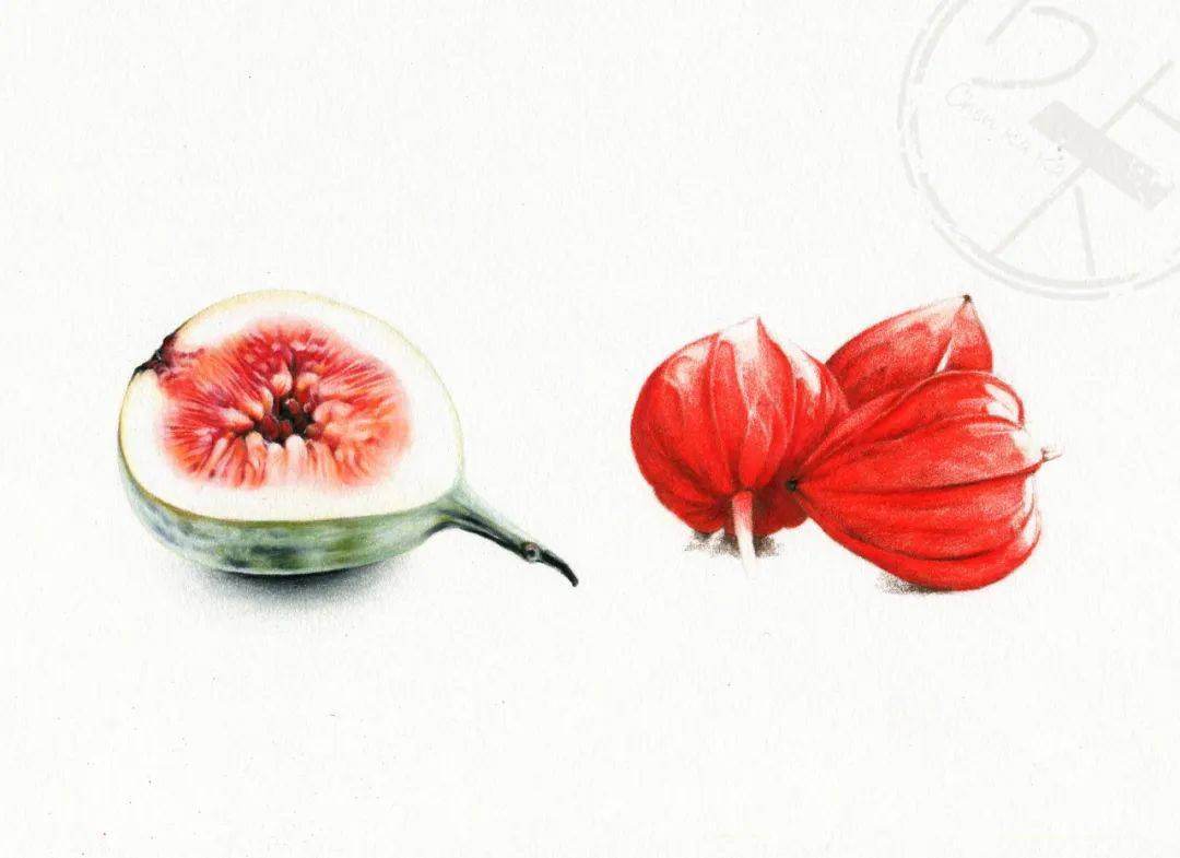 用彩铅画的水果简单点彩铅画水果的基本步骤