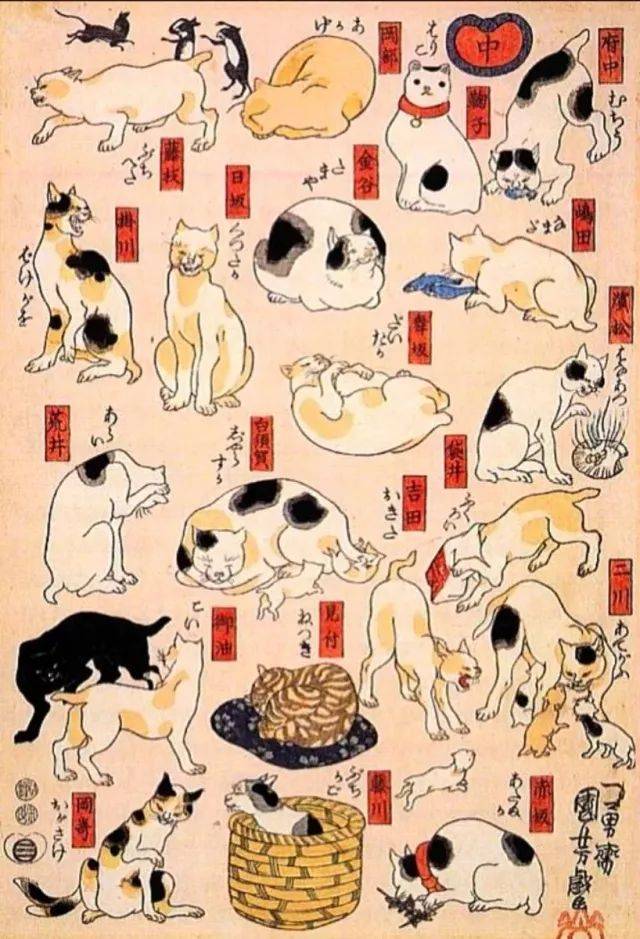 歌川国芳,日本200年前首屈一指的猫奴画师_猫咪_驿站_东海