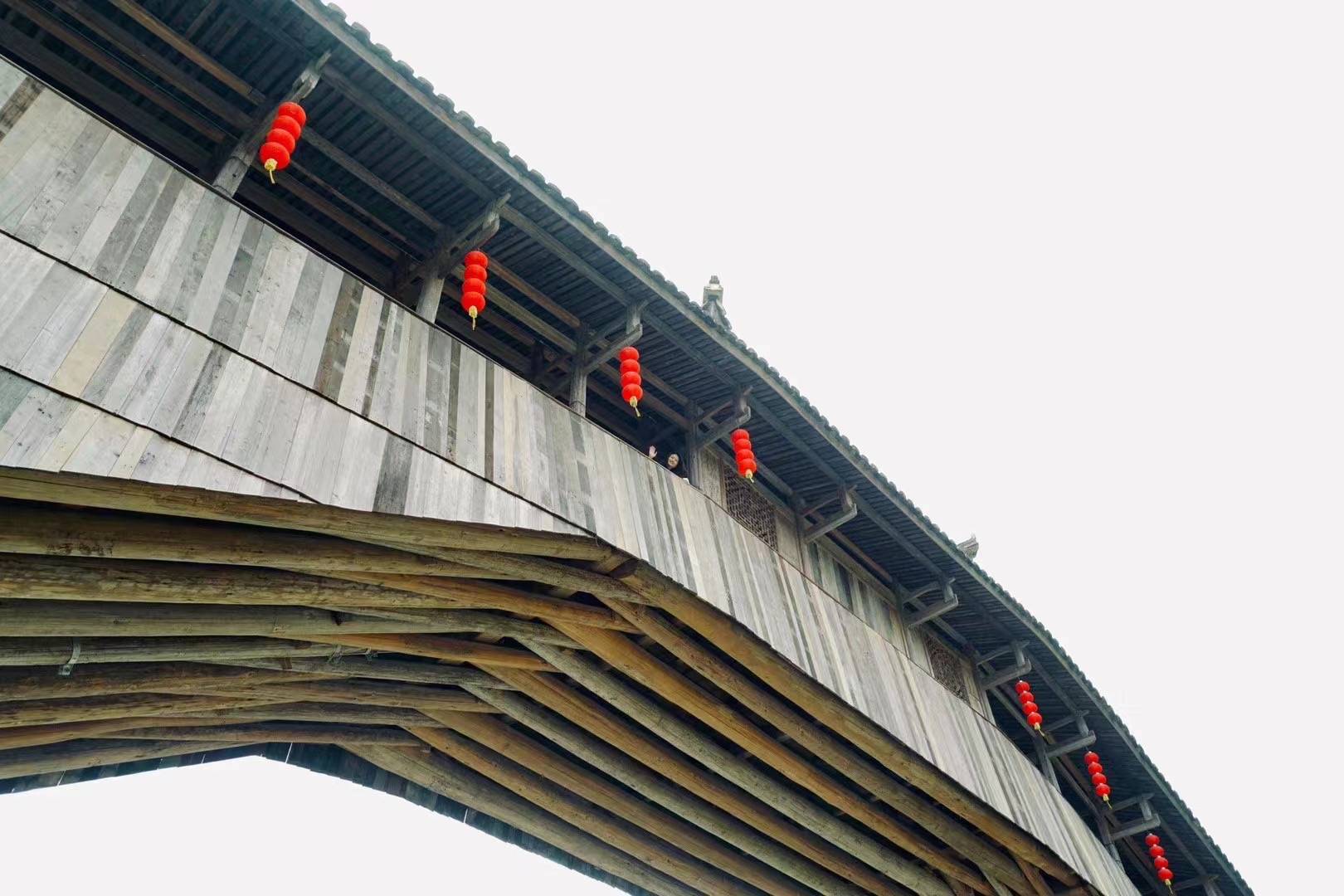 "廊桥中的比萨斜塔"文兴桥,四季的景色迷人,最爱春天与秋天_泰顺_国保