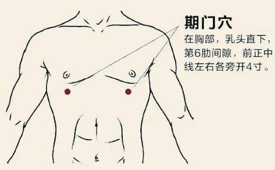 从保健的方面来讲,最重要的穴位就是太冲穴和期门