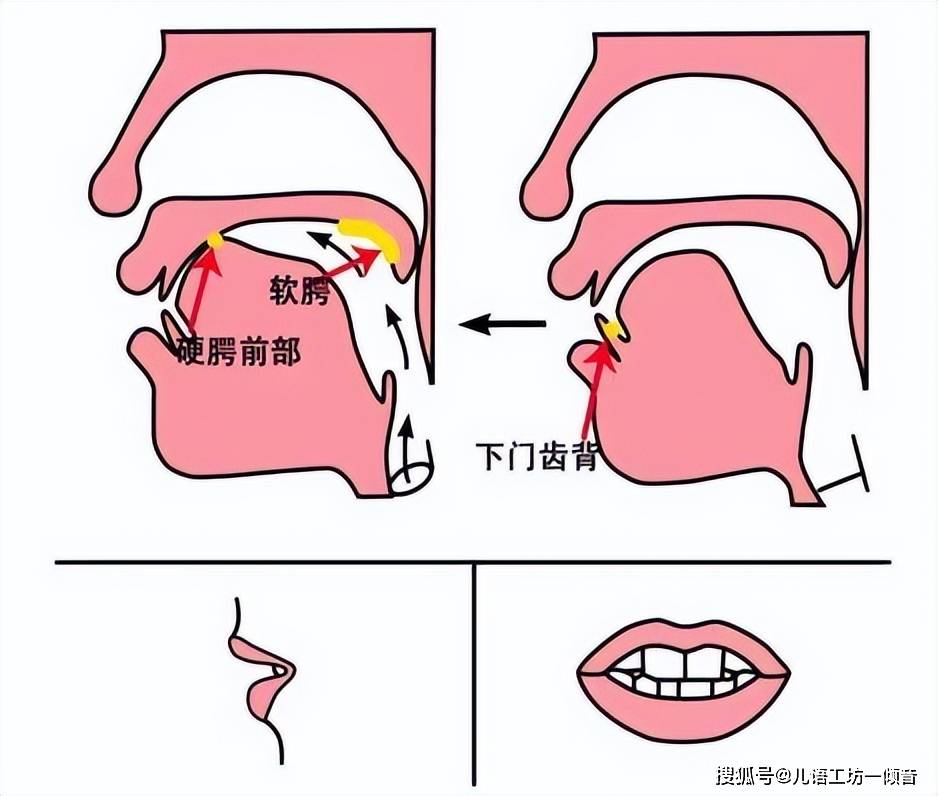 舌头