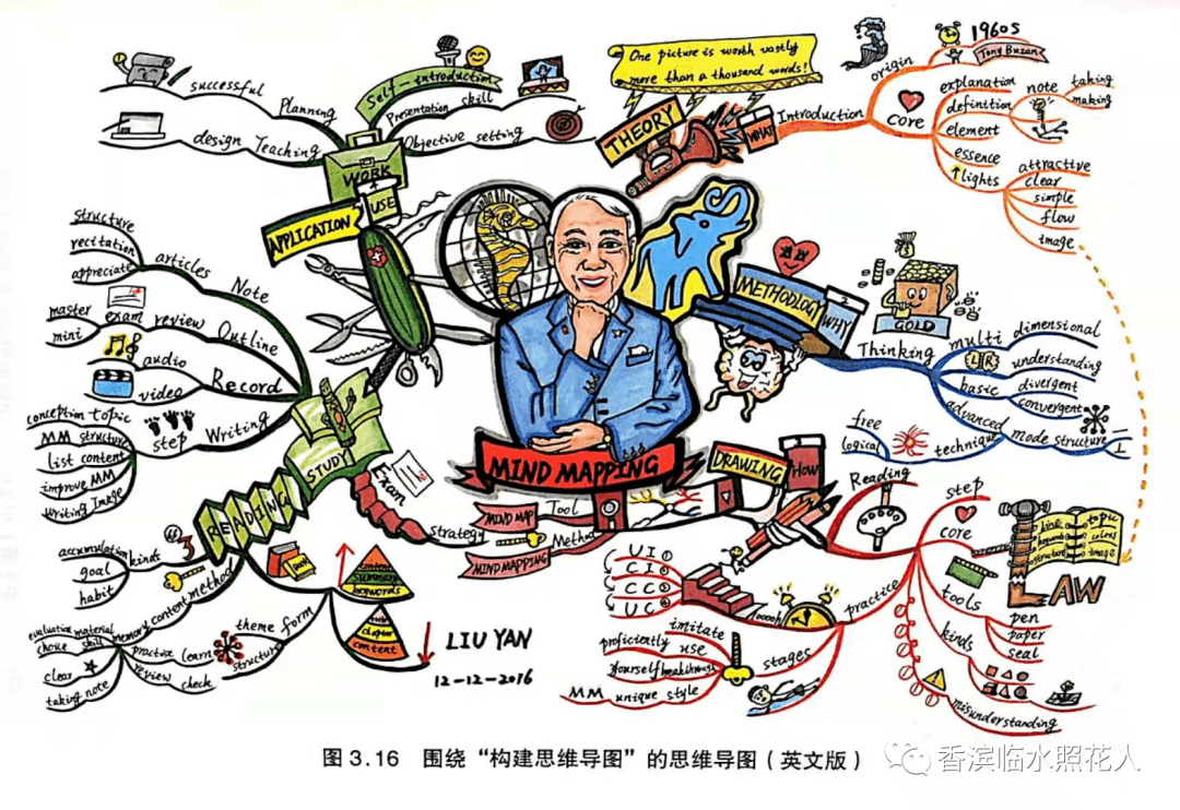 原創思維導圖畫作文楊佳雯我的植物朋友小柿子的成長日記十八