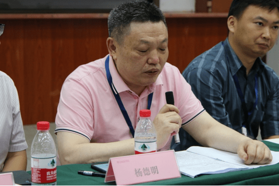 乐山师范学院美术学院书法系主任 杨德明副教授发言题目:《气韵与形式