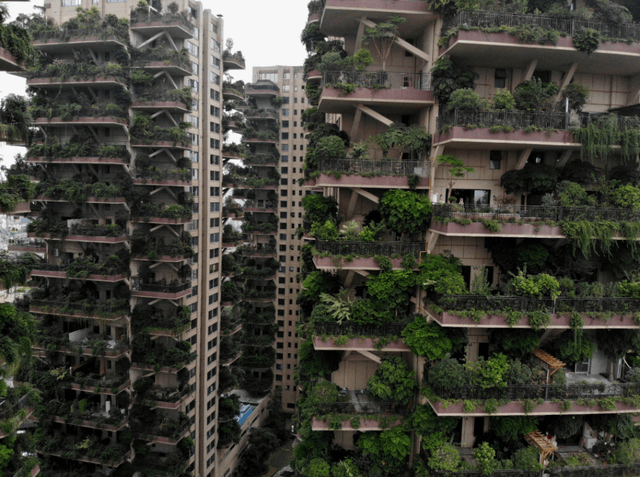 成都有个小区，楼面都被绿色植物所覆盖，还被誉为“垂直森林”
