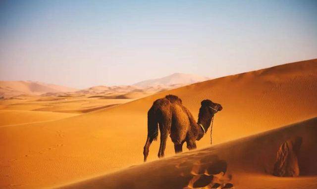 原创             撒哈拉大沙漠下面，埋藏着什么“秘密”，专家的回答让人想不到