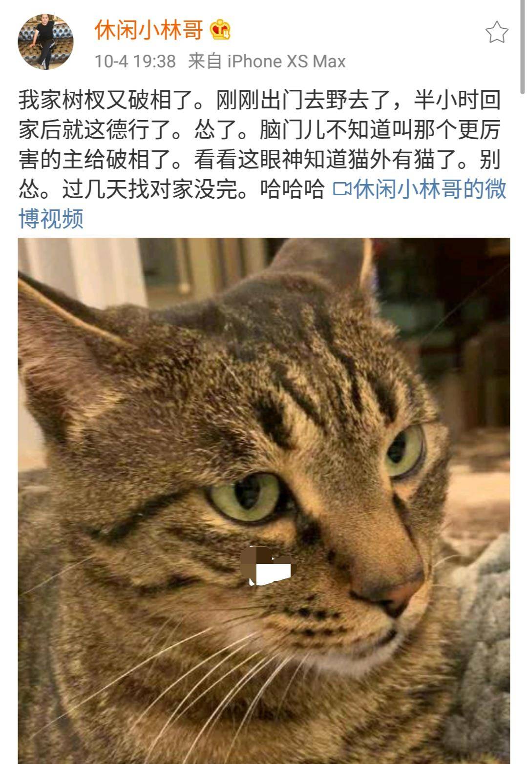 5月4日,杨幂的父亲晒出了几张宠物的照片,并为爱猫叫屈.