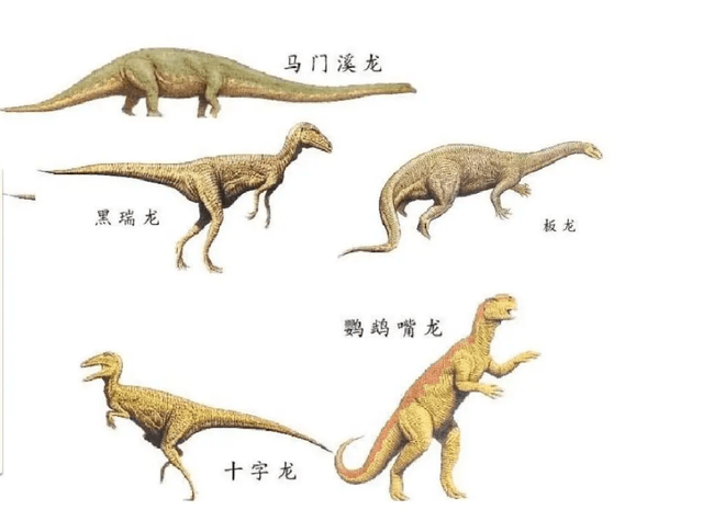 6500万年前恐龙灭绝的过程是这样的原来这么痛苦