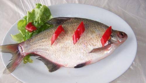 清蒸鳊鱼注意这一个地方鱼肉鲜嫩好吃不腥