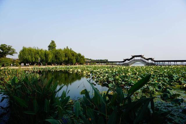江苏“最低调”的古镇：2000多年历史，环境静谧是真正的水乡