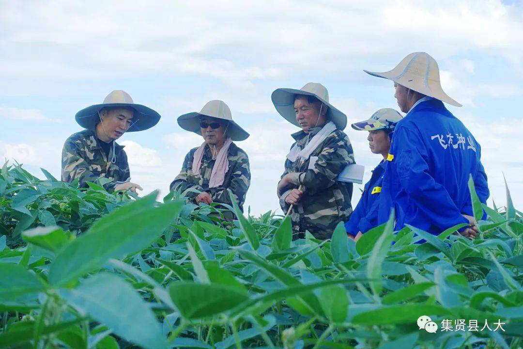 为了大地的丰收记集贤县人大代表黑龙江飞龙种业公司总经理林志达