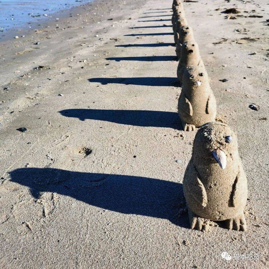 上週四,一隊由50只企鵝組成的沙雕在海邊排隊儘管天氣降溫,但有幸在