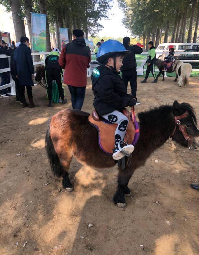 吳京謝楠帶孩子看賽馬,吳老大騎馬帥氣,吳京抱吳老二爺倆傻笑_不知道