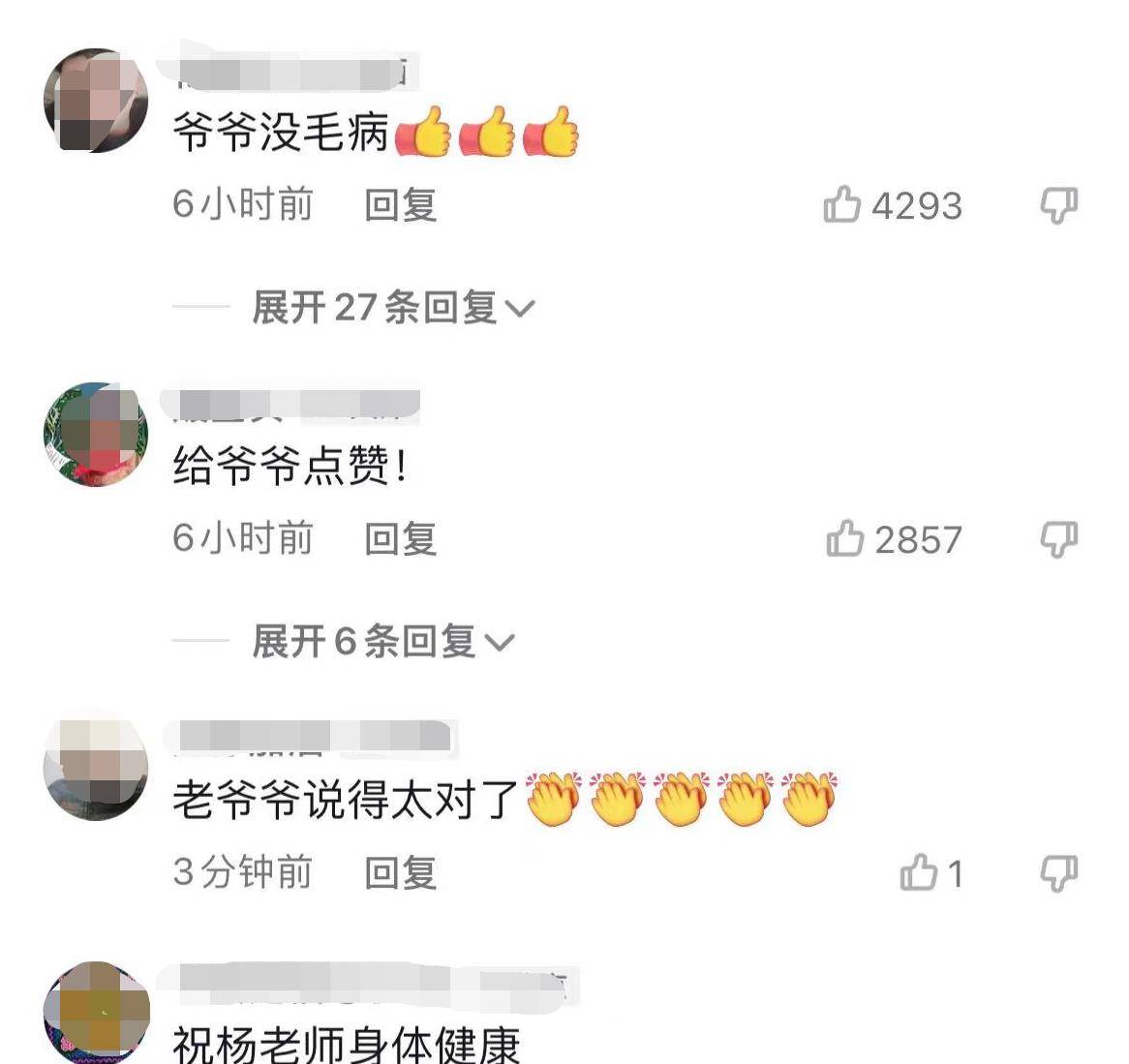 隨著年歲增大,楊少華逐漸迴歸生活,他的四個兒子楊威,楊健,楊倫和楊議