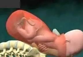 6张图揭示产妇“顺产”全过程，看完好心疼女人！生而为人不容易