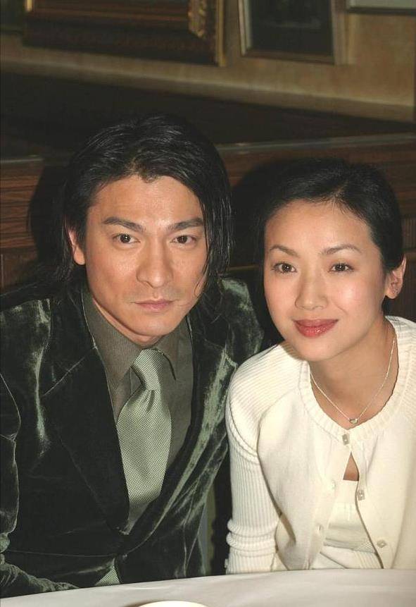 1993年,徐濠萦还是一个不起眼的小模特,经朋友推荐她与刘德华一起合作