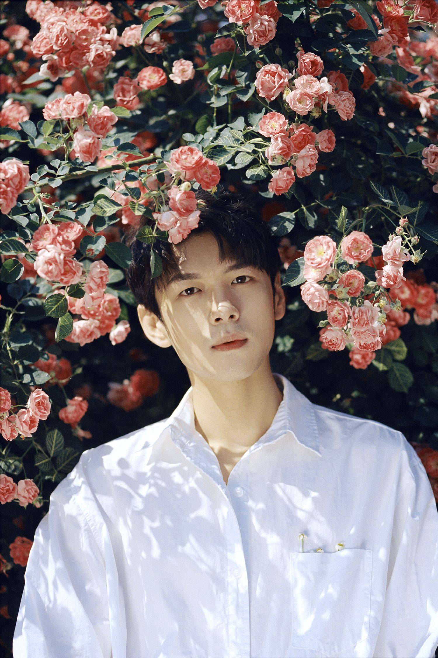 盛英豪最新胶片写真 青葱白衣少年清爽俊逸