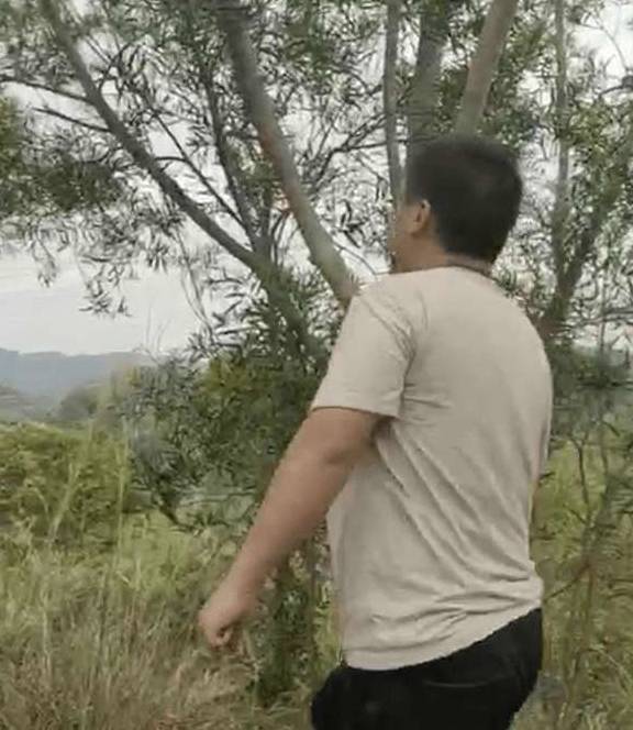 广西15岁初三女学霸回校途中失联,2天后发现上吊身亡_周蜜_调查_灵山