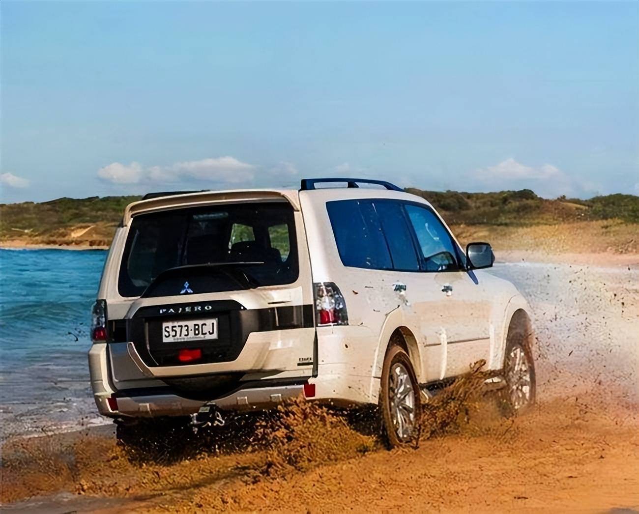 骨子里的傲气山猫帕杰罗