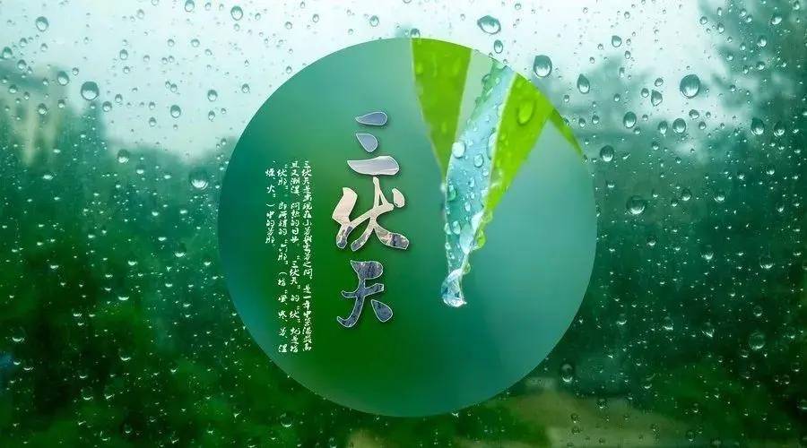 泡三伏夏养三伏秋冬无忧