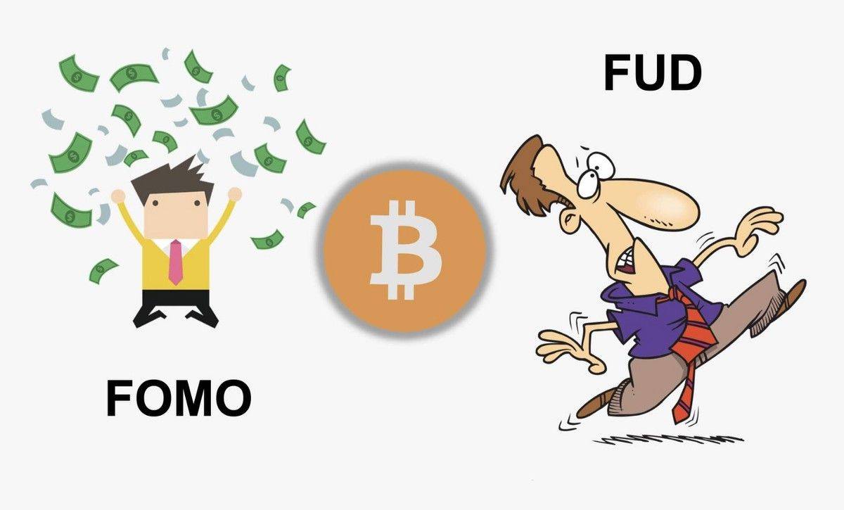 什么是FOMO？什么是FUD？治疗加密综合症必读_搜狐网