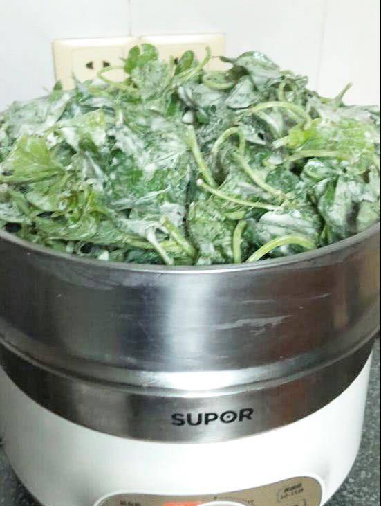 红薯叶营养价值高,教你瑞金特色做法,蒸制而成,营养健康_米果_解毒