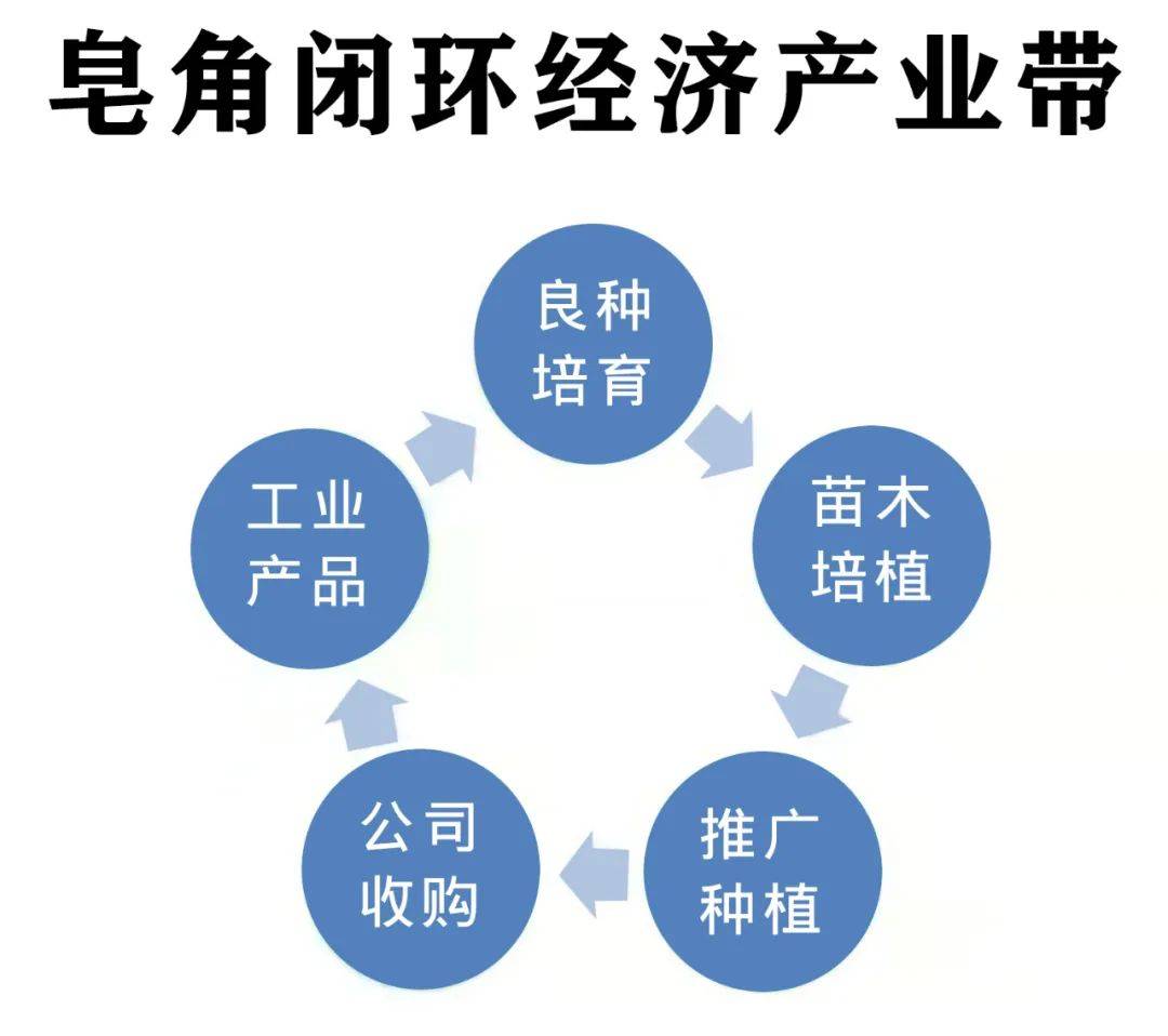 单县万丰农中药材亚新体育发展有限公司发展历程(图5)