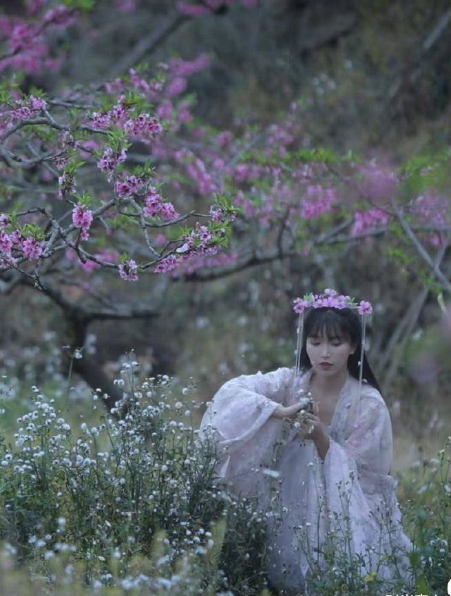 原创李子柒再现绝美古风时尚长裙纯白如雪桃花发簪美如画