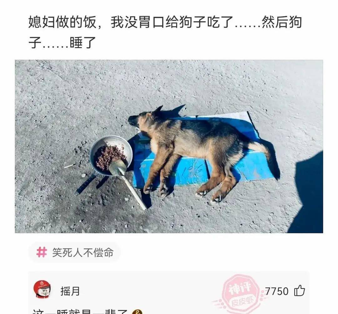 原创
神段子:上海的叫名媛,北京的叫富婆,那广州的叫什么?