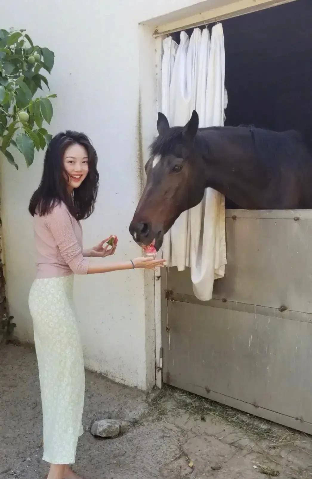 网红鼻祖晚晚的猎艳史,原来为了嫁入豪门可以这么老谋深算_刘野_艺术