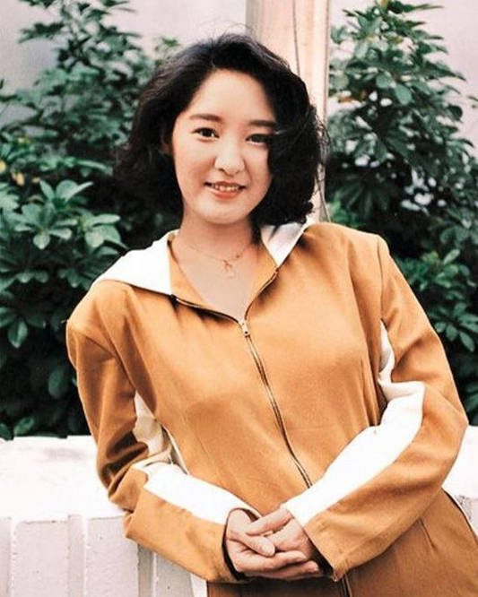 原创港星雪梨错过张国荣爱上徐少强生下儿女后过得怎样了