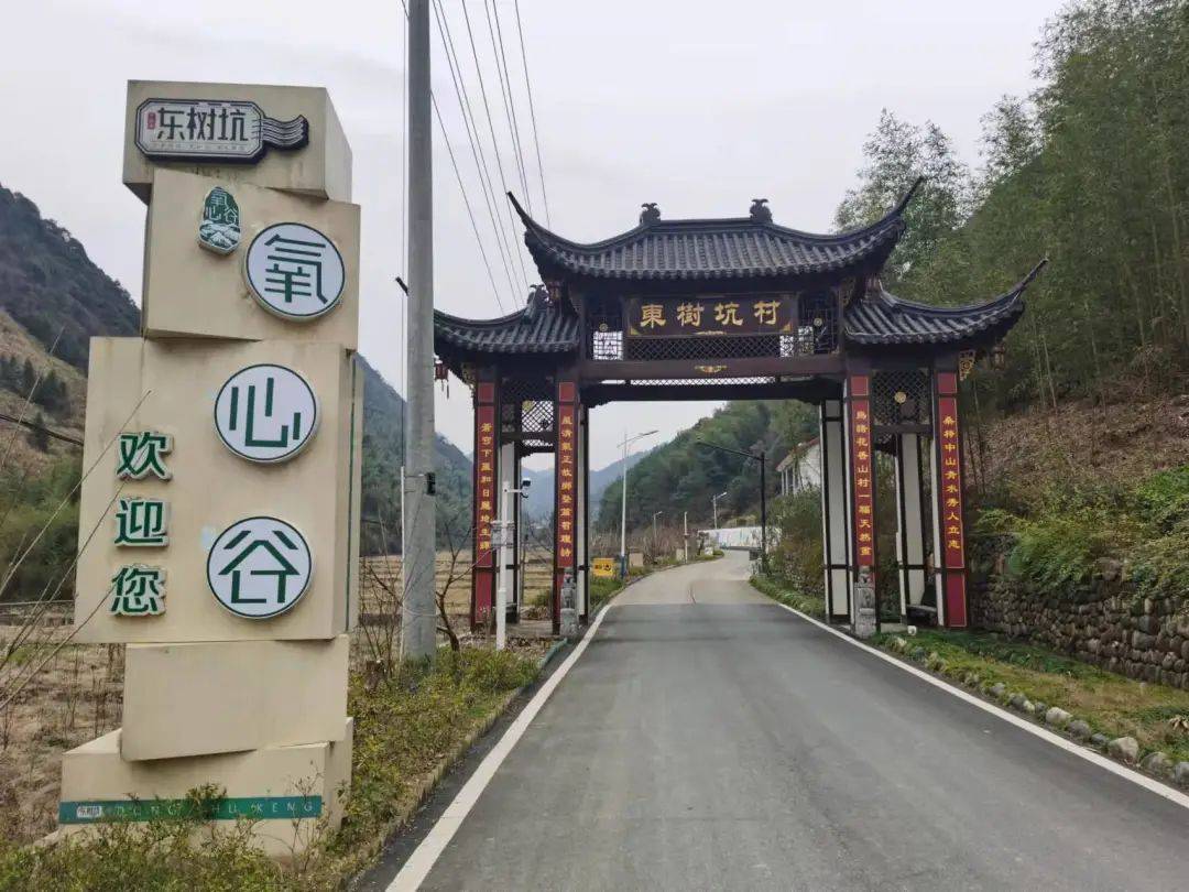 我在千岛湖氧心谷旅居的十个日夜