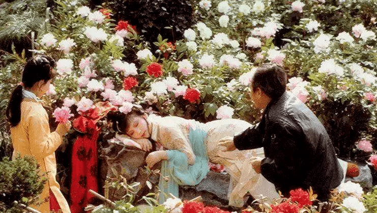 同样演湘云醉卧87版史湘云与10版史湘云一比差别就出来了