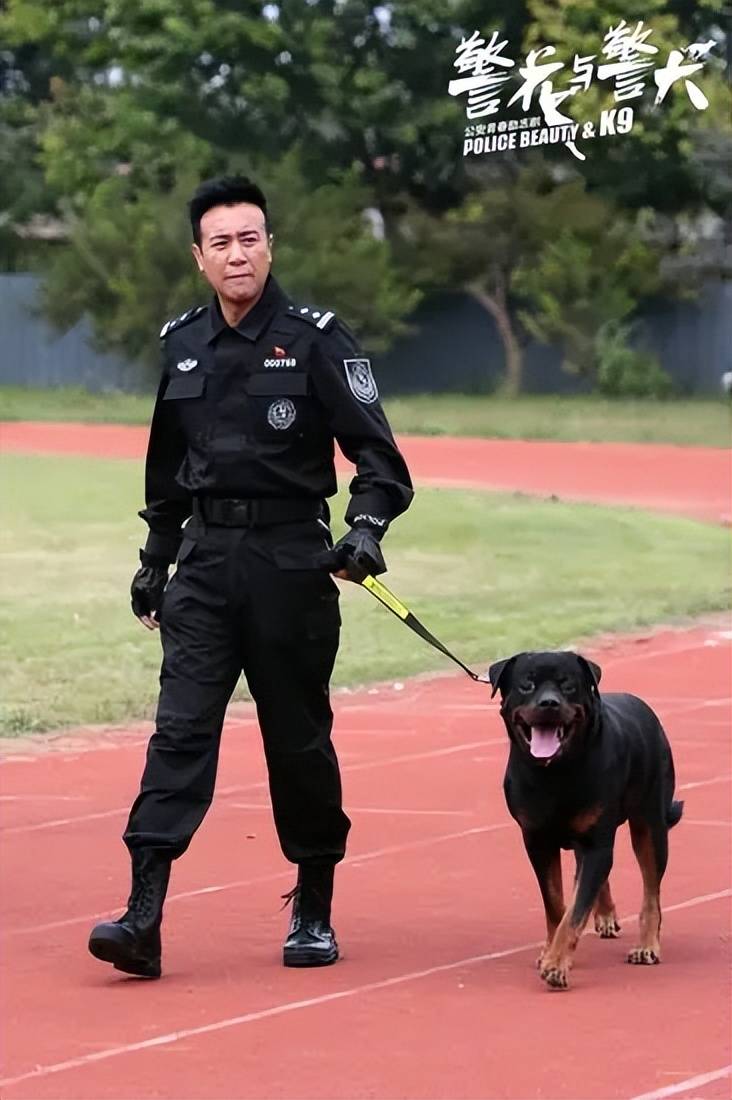 原创13位穿警服男神盘点陈晓真帅张若昀又酷又飒刘德华直接封神