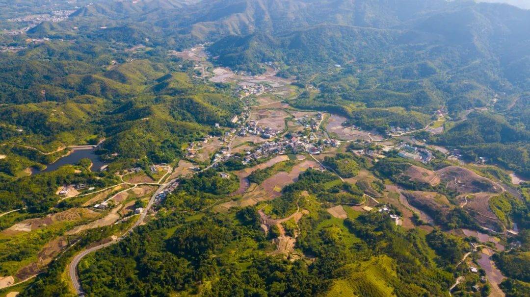 惠東的山,山套山,嶺接嶺的,烏禽嶂是屬於蓮花山脈的支脈了,滿目蒼翠