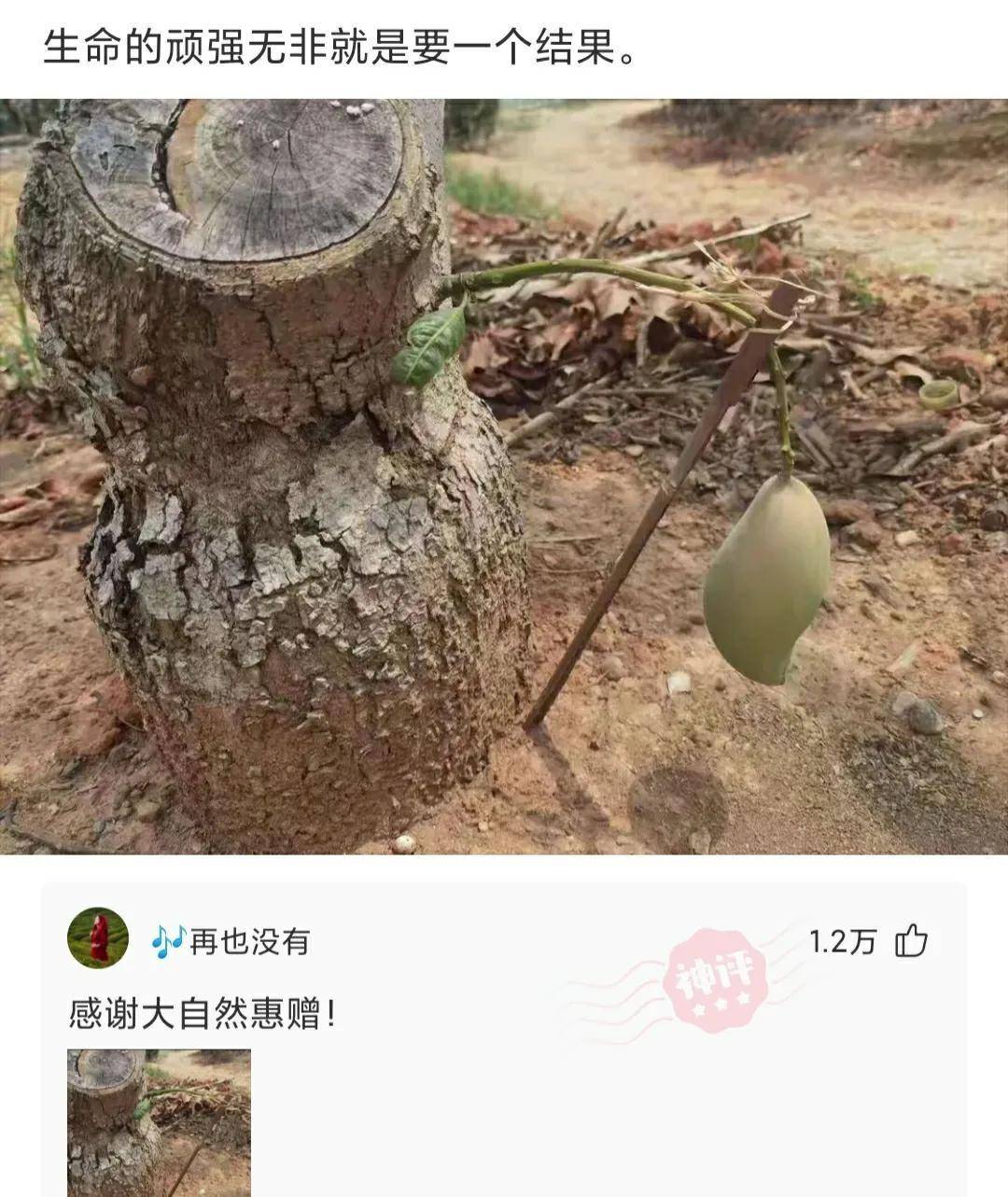 原创
神回复:老人给后辈挖的最大的坑是什么?太坑了,三代人填不满