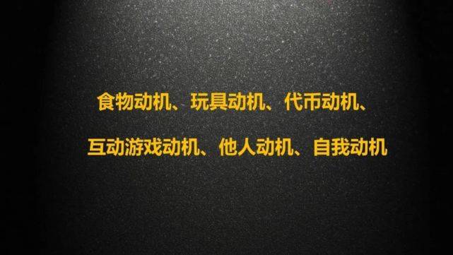 分為六個等級,它們分別是:食物動機,玩具動機,代幣動機,互動遊戲動機