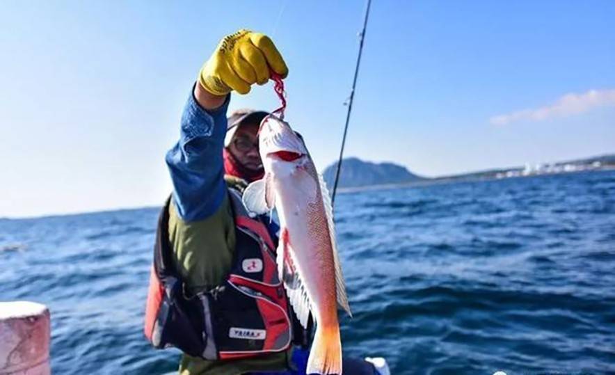 原創為什麼海釣人放生海魚時要在魚肚子戳個洞真的是為了魚好嗎