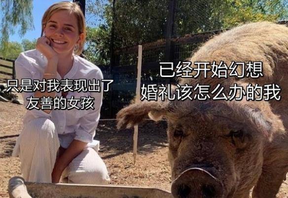 原创
每日爆笑囧图神评论大赏:挺好,都这样了还想着队长