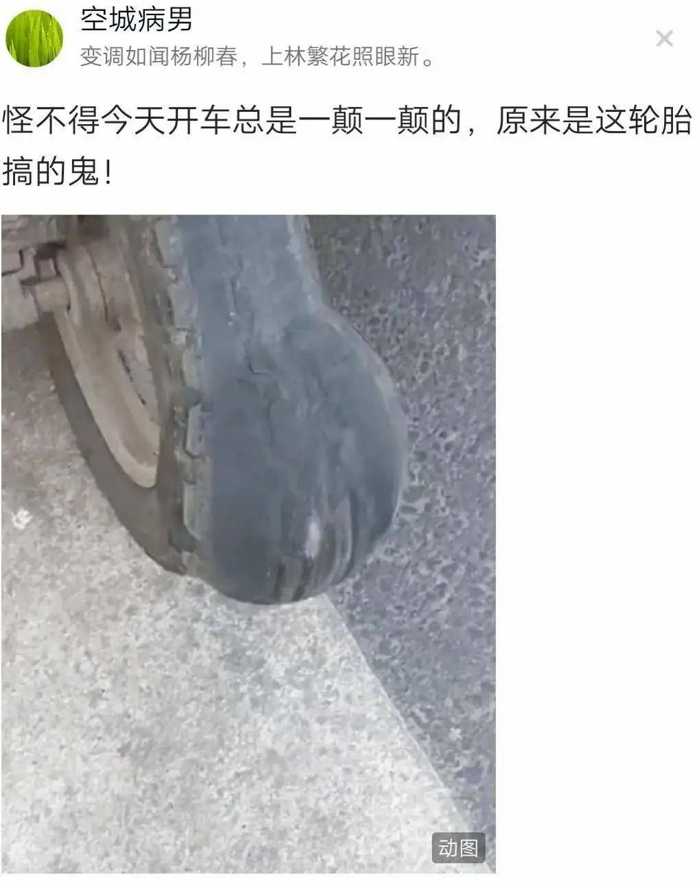 原创
马赛克可不能乱打,尤其是对女孩子来说,颜值真的太重要了啊