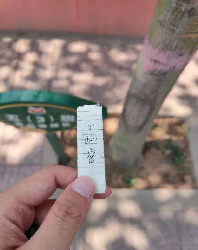 原创
让男友帮我拍张照片发朋友圈,结果...网友:当场给我送走了哈哈