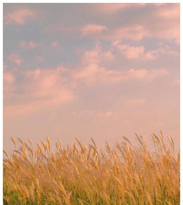 6月24日到7月28日 四大星座行事稳健 舍命不舍财 以利相倾 生活 财运 事业