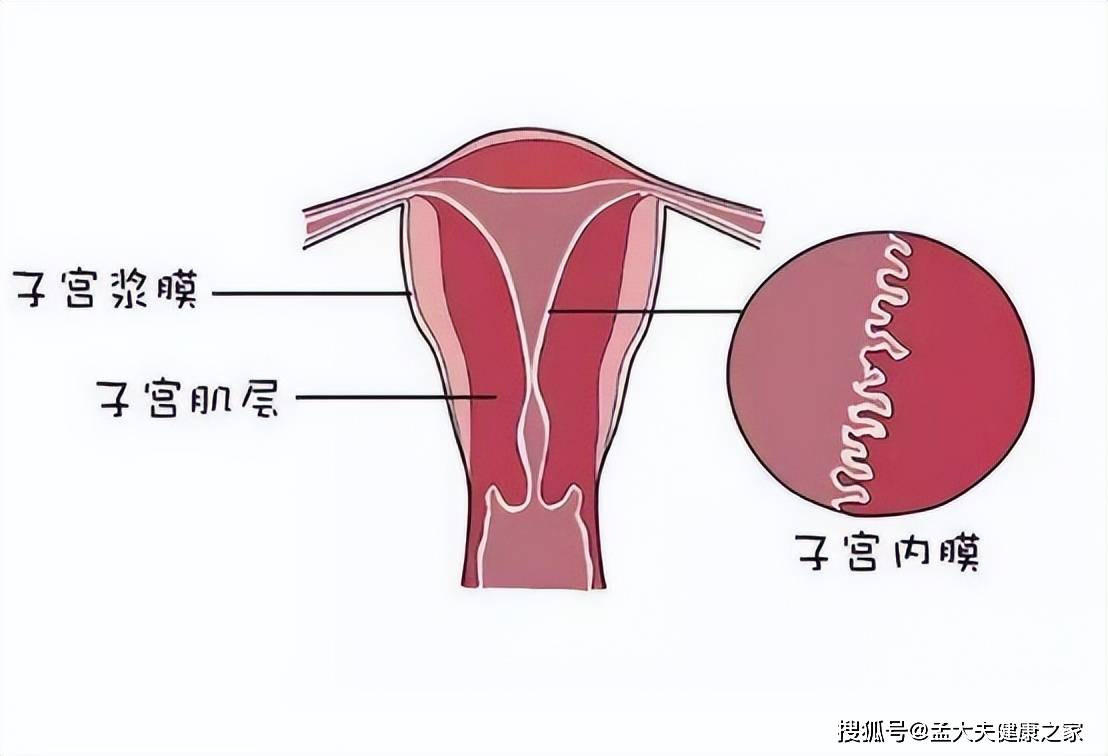 本文告诉您实情_疾病_器官_影响