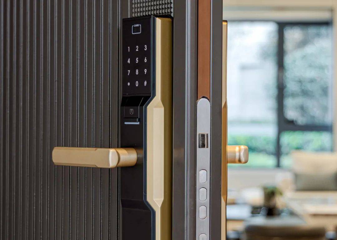 尊崇门厅的仪式感内饰为木饰面搭配金属线条门博士(或同等品牌)入户门