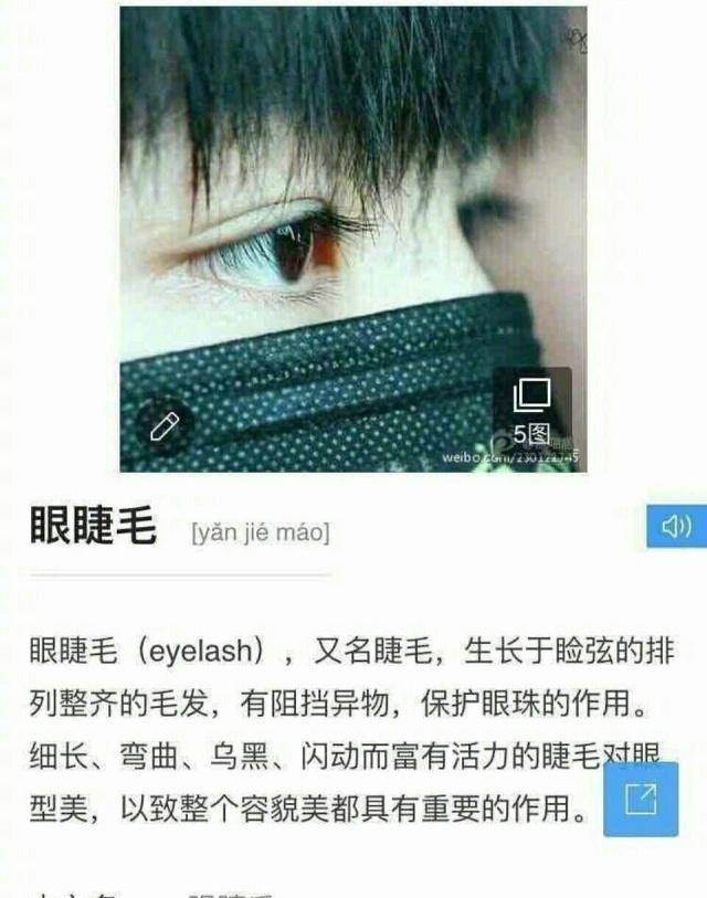 王俊凯教科书级眼睫毛，获百科官方认证，名副其实的睫毛精