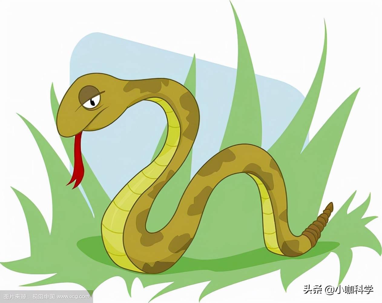 捅蛇窝了泉州一男子在自家院子发现一窝蛇为何蛇会扎堆冬眠