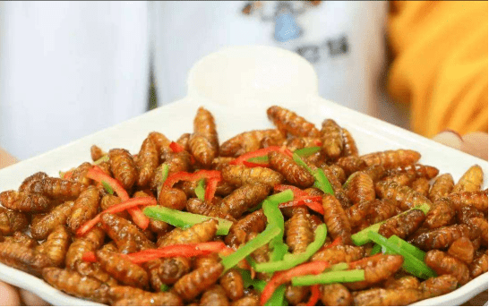 67 如不差钱,强烈建议,中老年人多吃3种"高蛋白食材",更长寿_蚕蛹