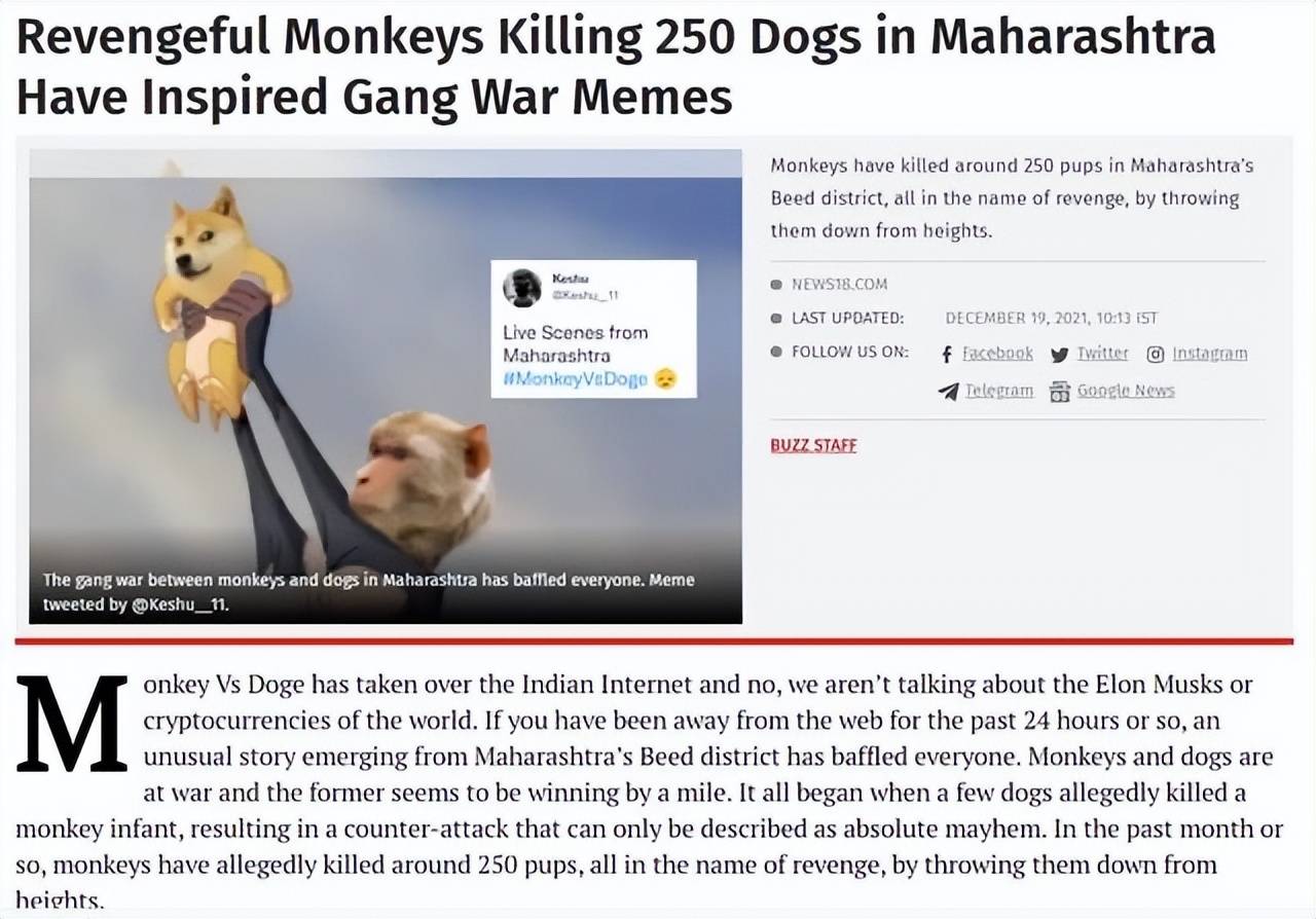 Revengeful Monkeys Killing 250 Dogs in Maharashtra Have Inspired Gang War  Memes - News18