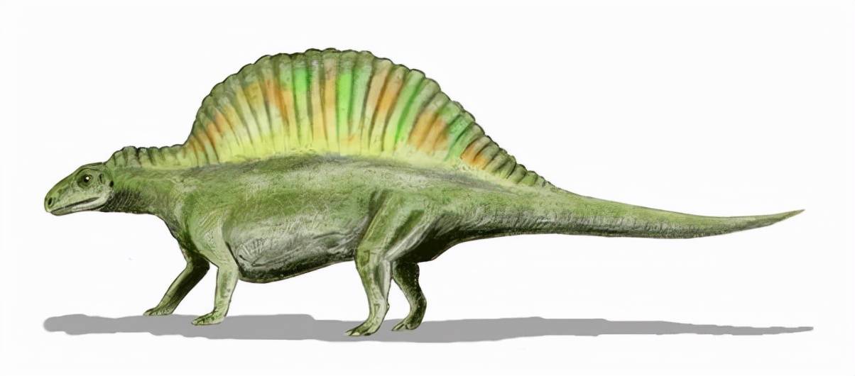 原创在白垩纪鳄鱼为何不像非鸟类恐龙和海洋爬行动物那样灭绝