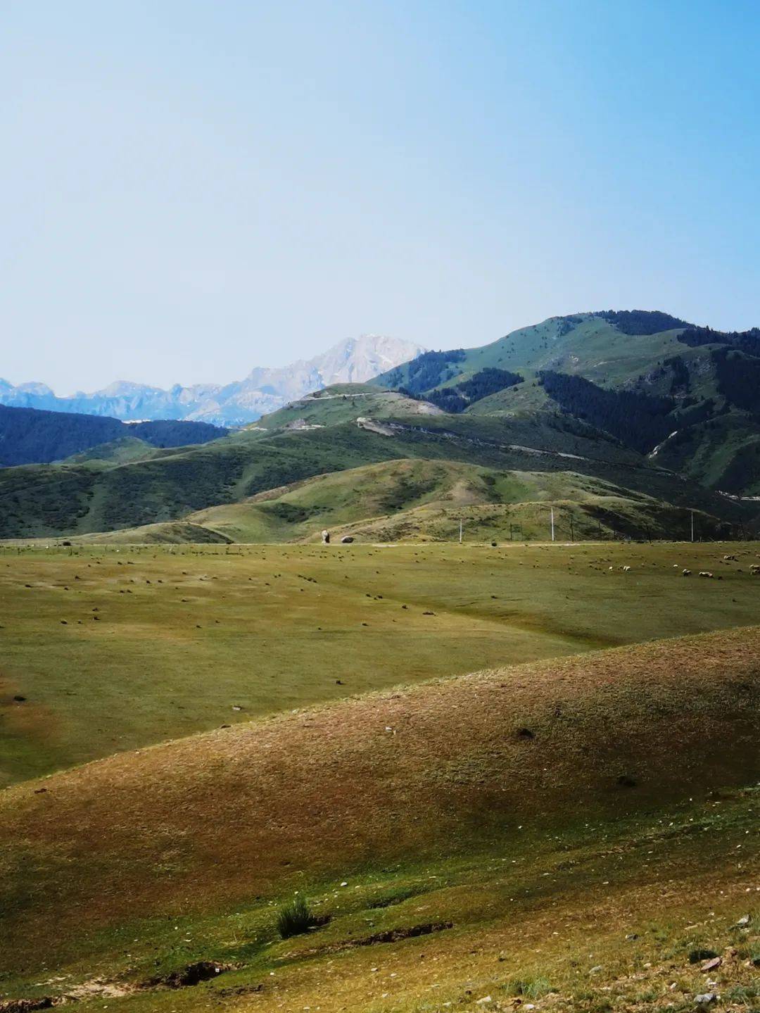 伊昭公路 —— 被誉为新疆最美的公路之一_昭苏县_观光_车辆通行